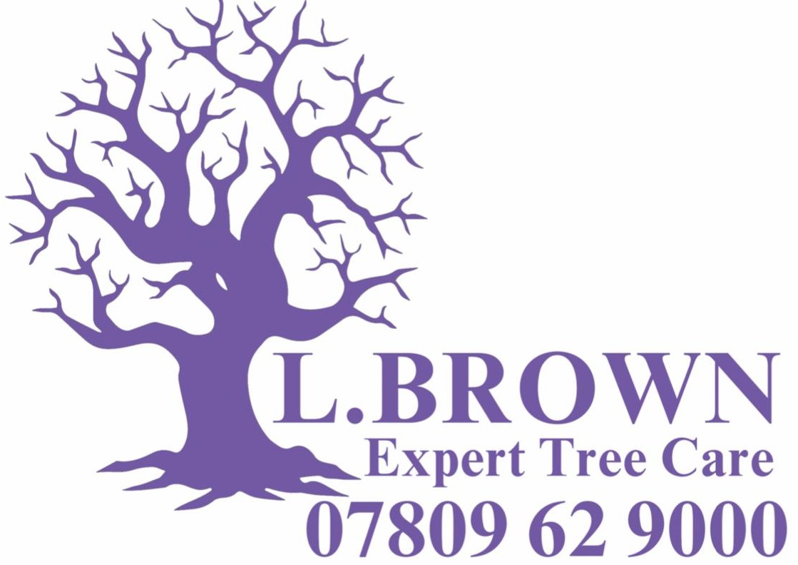 L. Brown Expert Tree Care