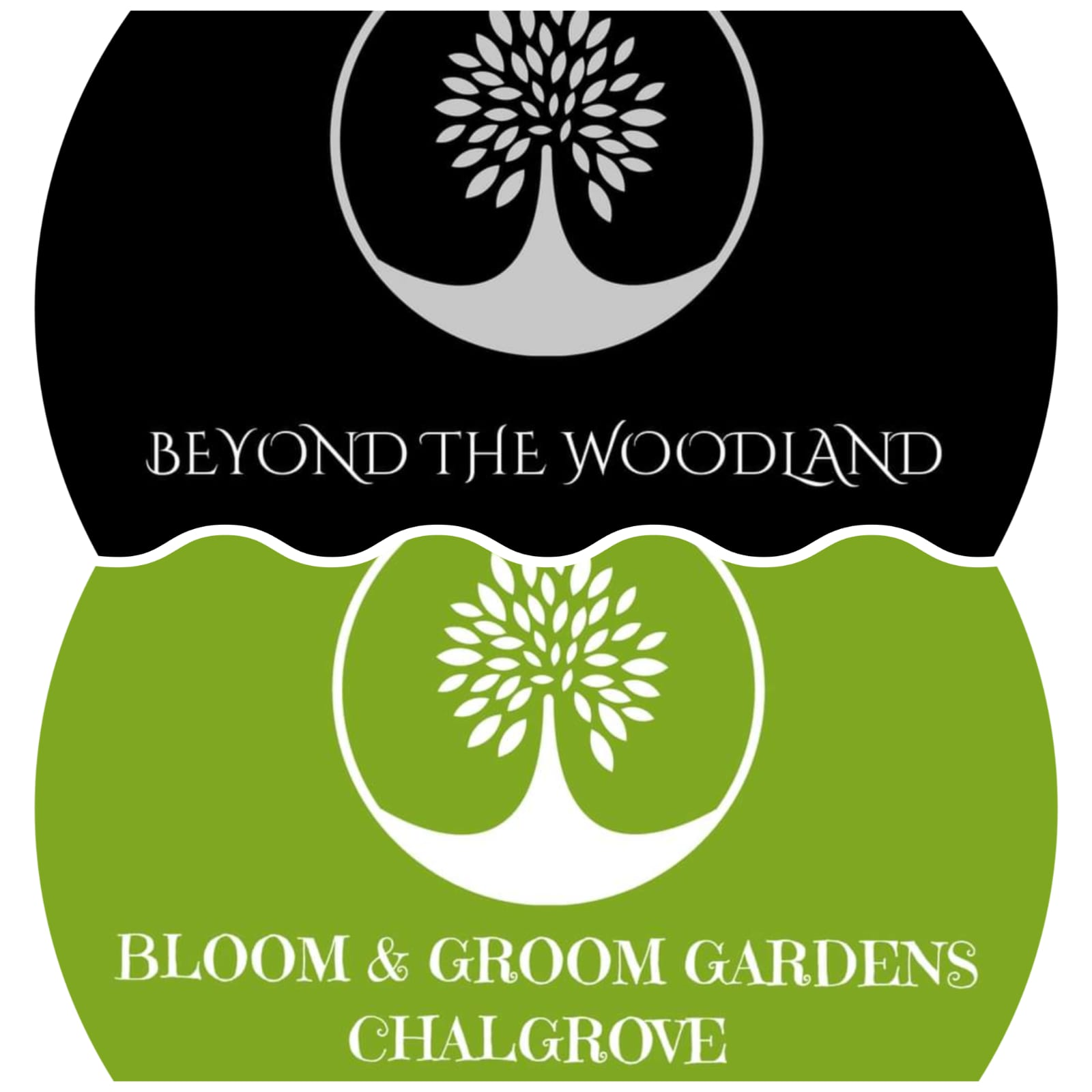 Beyond the Woodland - Bloom and Groom Gardens